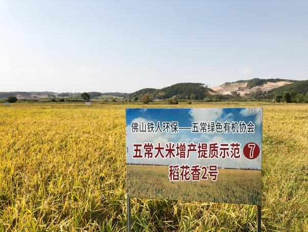 1764577166703 图片 4:五常大米提质增产示范基地