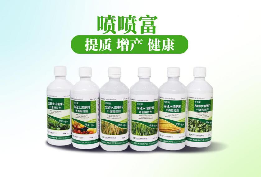 1765780407059 图片4