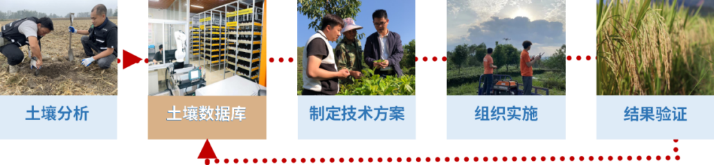 1765780828807 图片10