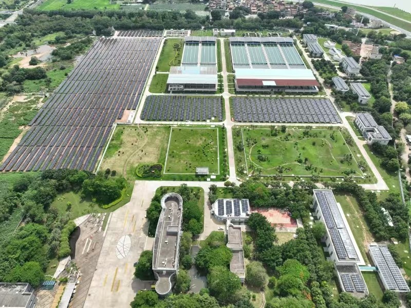 1767148456302 北江水厂分布式光伏发电航拍图